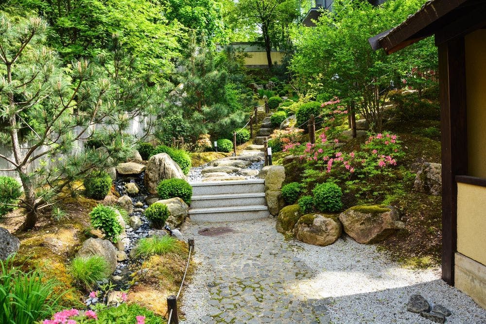 Japoniškas sodas SEI SHIN En #2