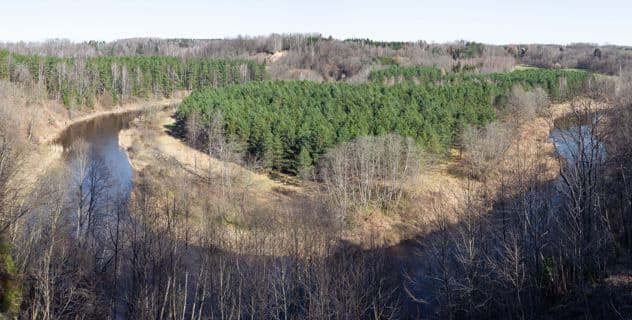 Šilpelkės pažintinis pėsčiųjų takas #2