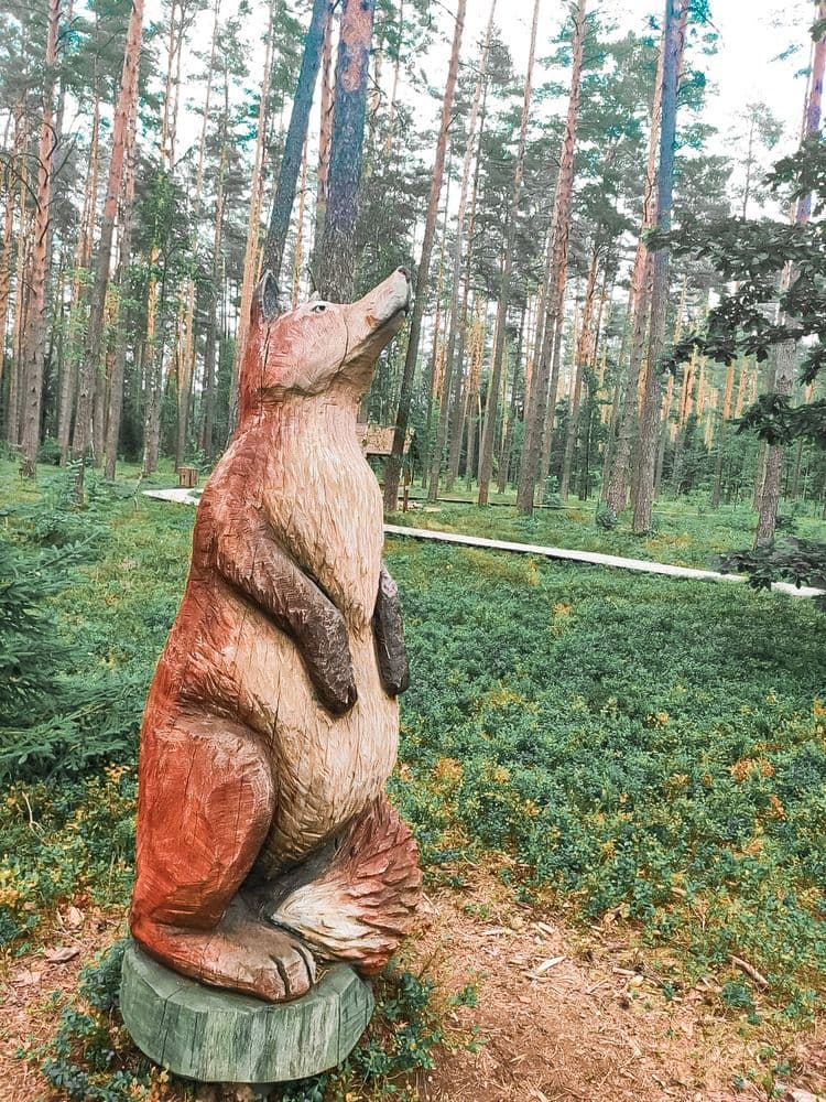 Pasakiškių takas (Sakiškių poilsiavietė) #2