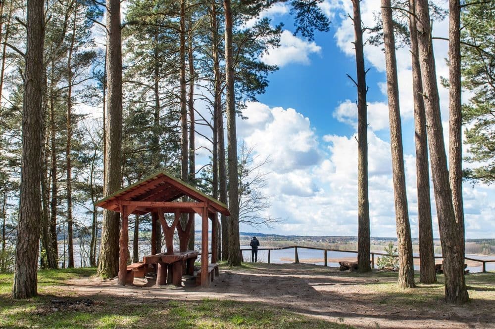 Mergakalnio atodanga #5