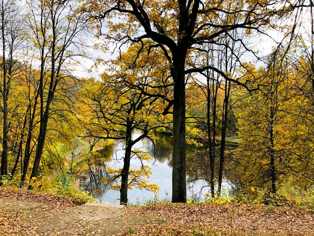 Markučių parkas #3