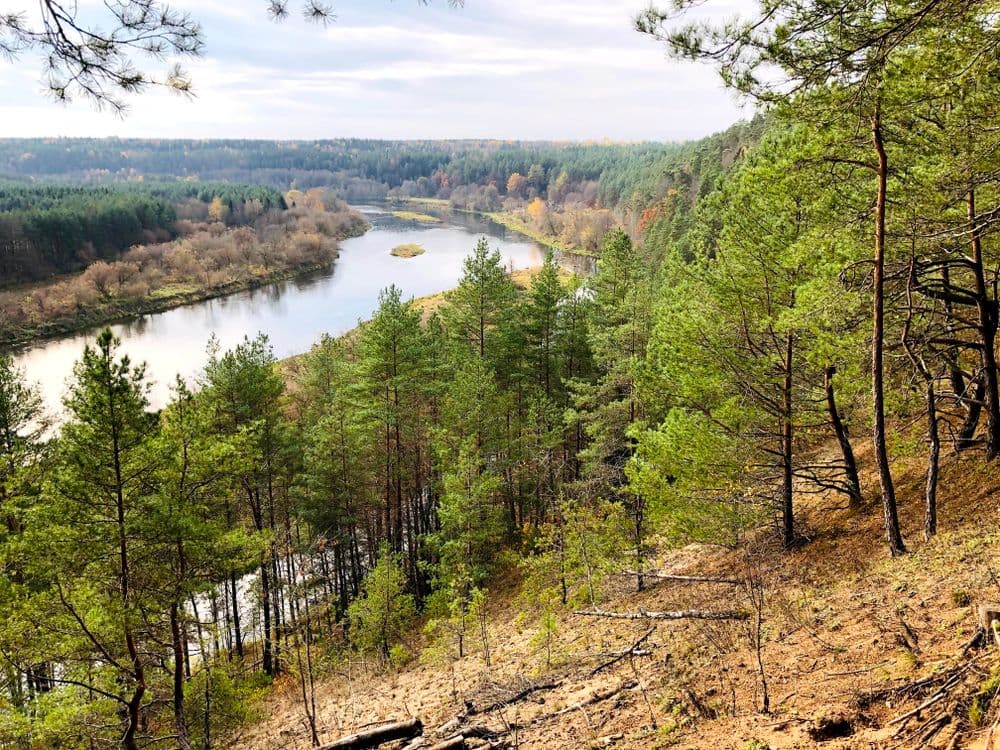 Paneriškių regykla #3