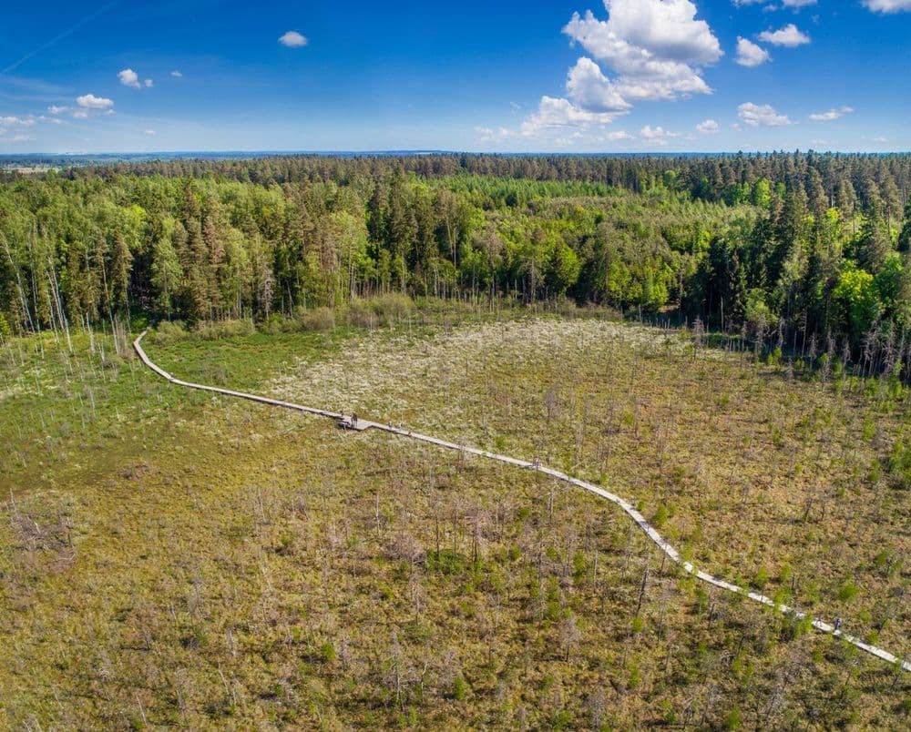 Dubravos rezervatinė apyrubė #5