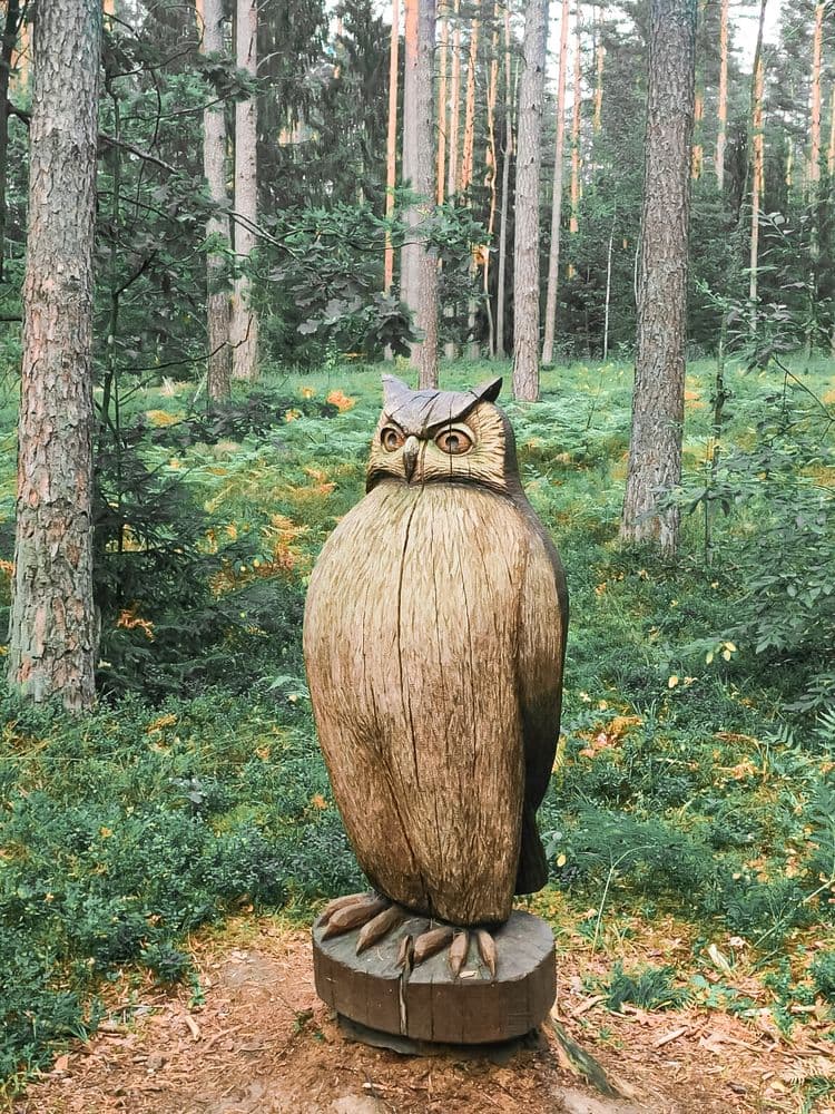 Pasakiškių takas (Sakiškių poilsiavietė)