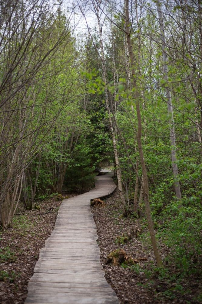 Vainagių pažintinis takas