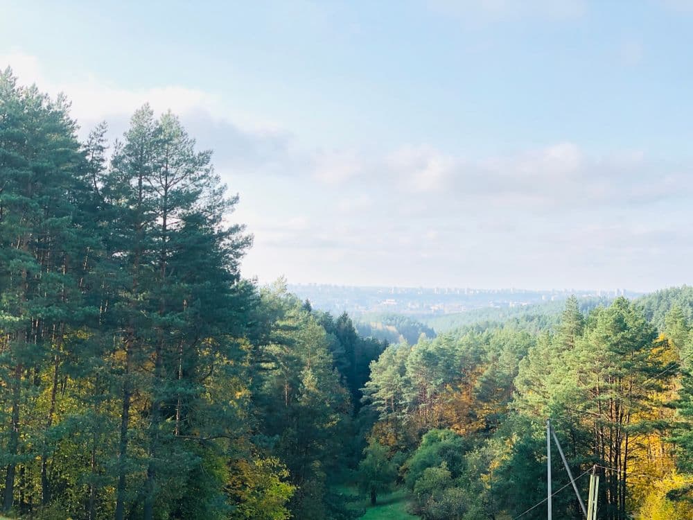 Rokantiškių regykla