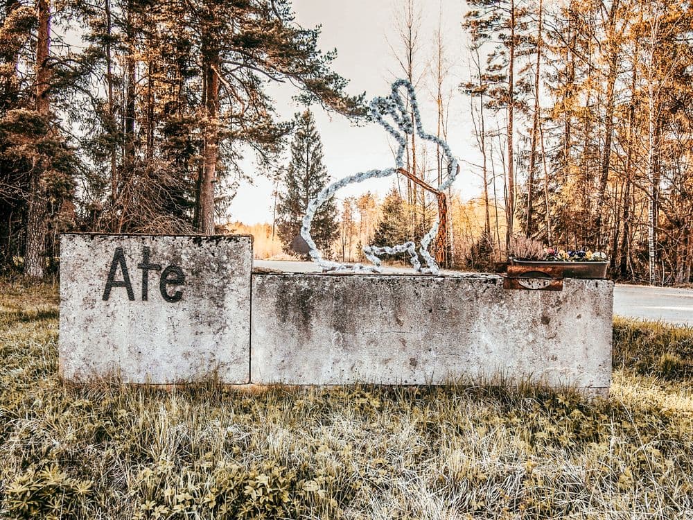 Duokiškio kiškis #2