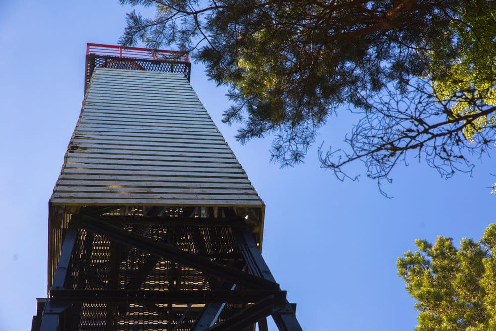 Juodkrantės švyturys #3