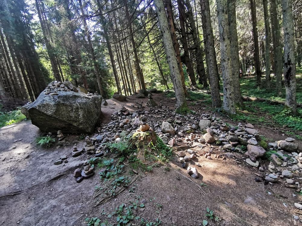 Lopaičių pažintinis takas #3