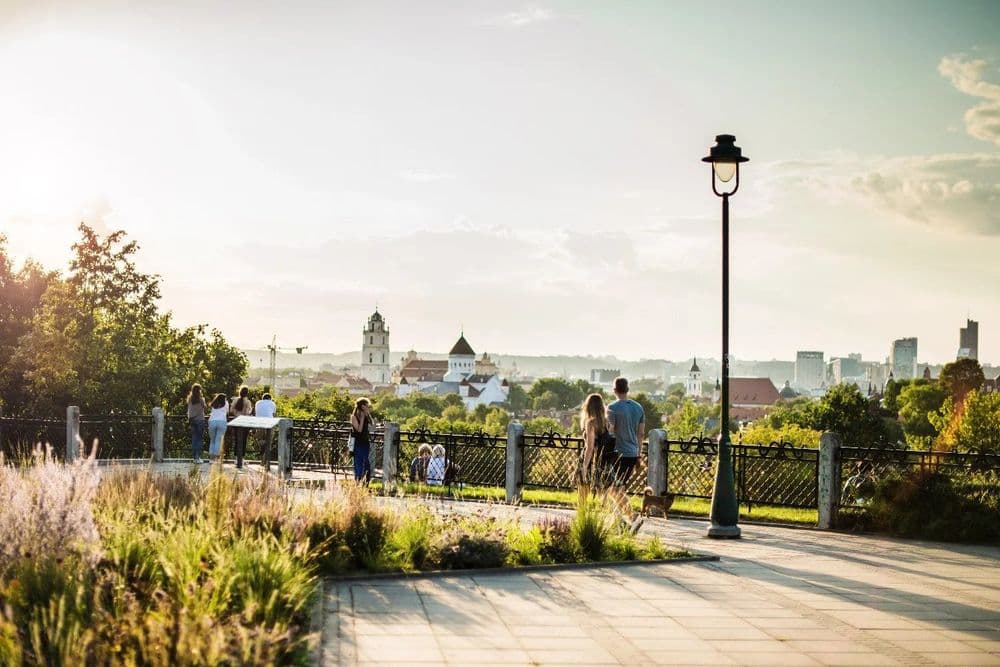 Subačiaus apžvalgos aikštelė