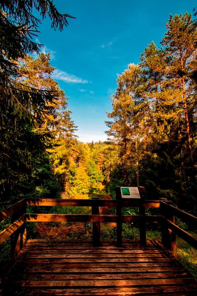 Varnikų pažintinis takas #3