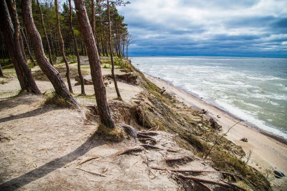 Ekologinis pažintinis takas „Litorina“ #2