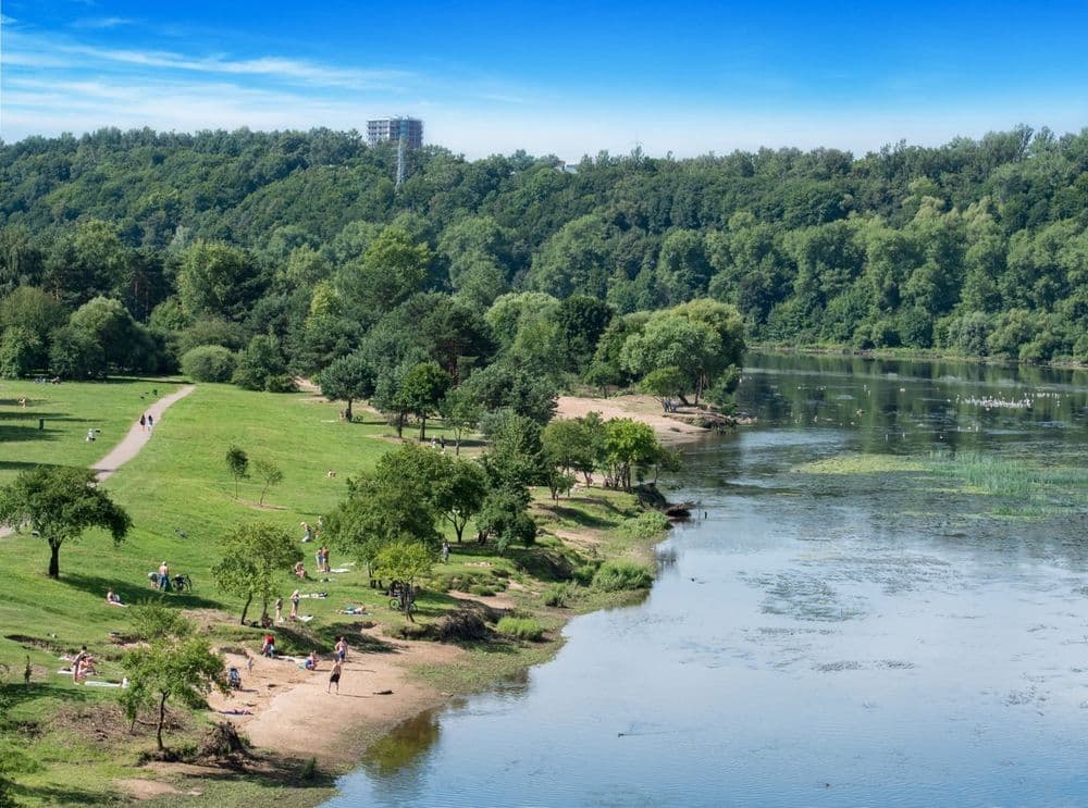 Panemunės šilas #2