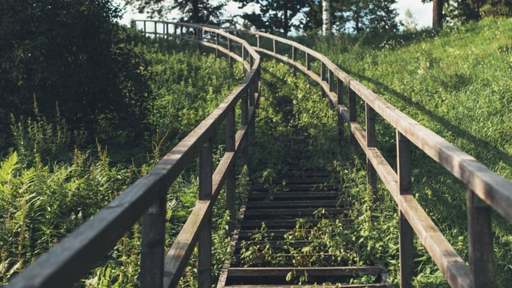 Naujosios Vilnios pilkapynas #2