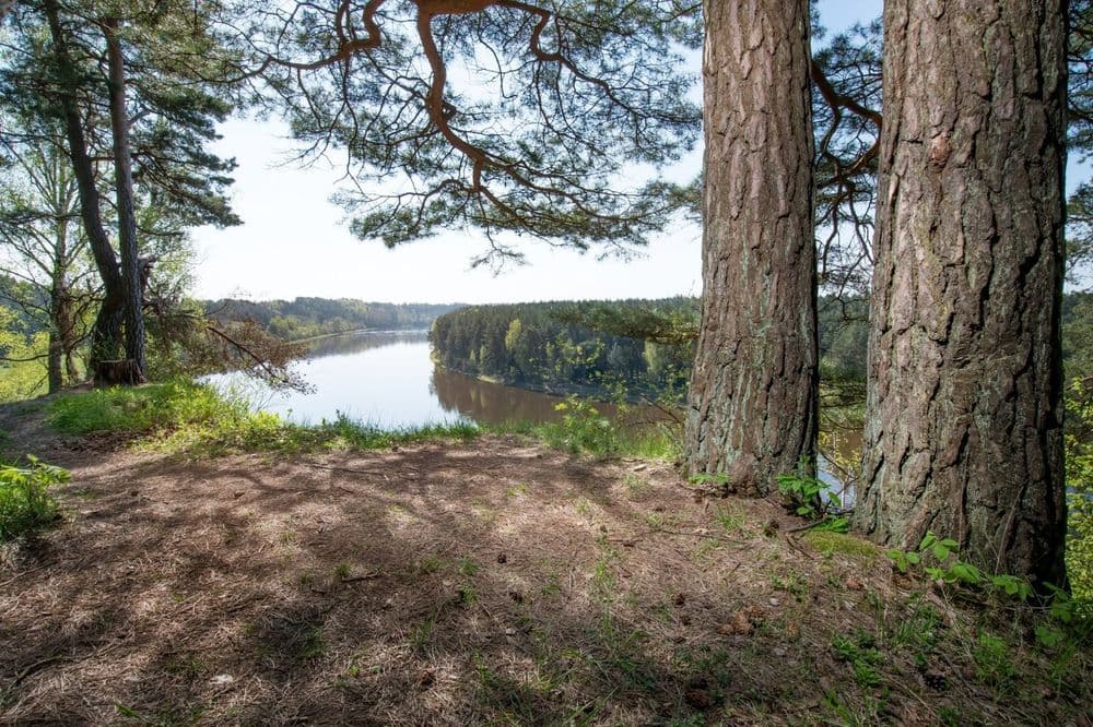 Škėvonių atodanga #4