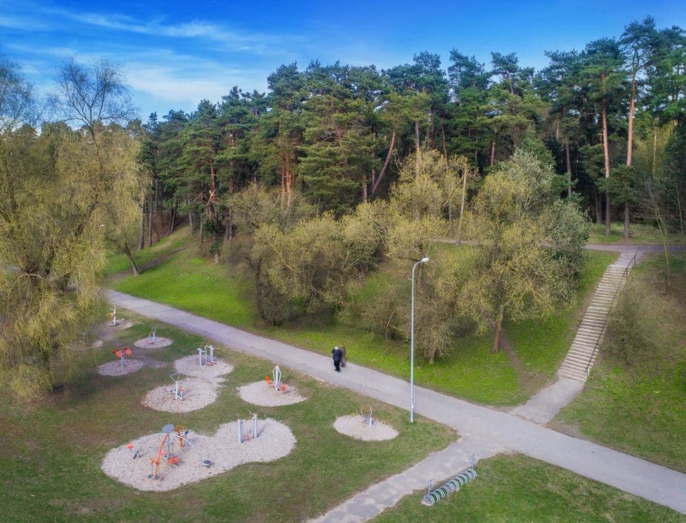 Panemunės šilas #3