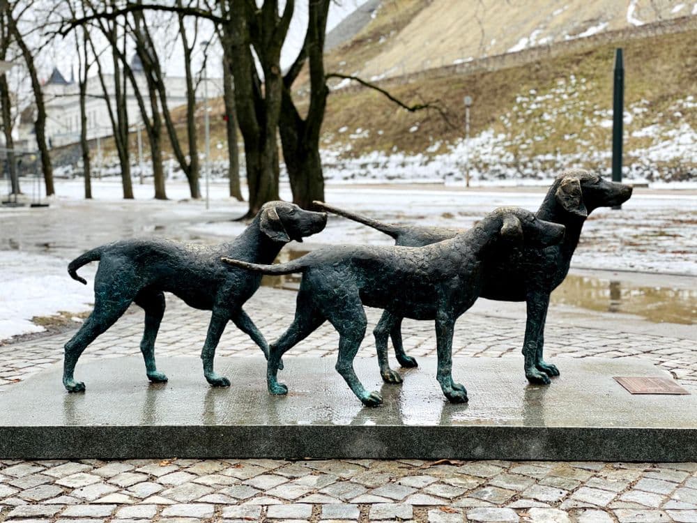 Skulptūra „Lietuvių skalikas“ #2