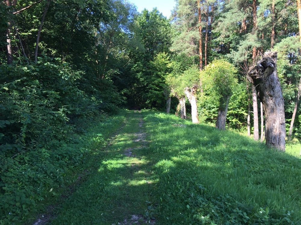 Senasis Vilniaus - Kauno traktas #2