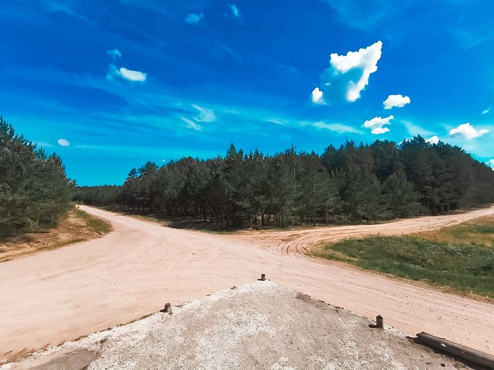 Dumsių miško žemyninė kopa #4