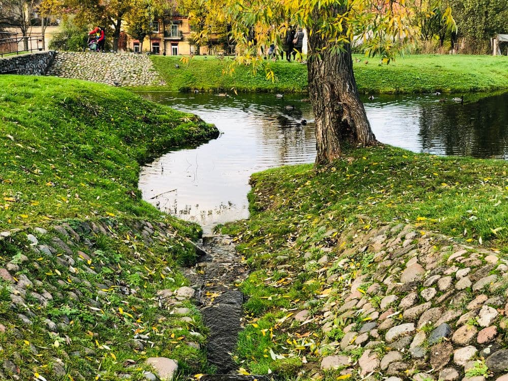 Kūdrų parkas (Misionierių sodai) #4