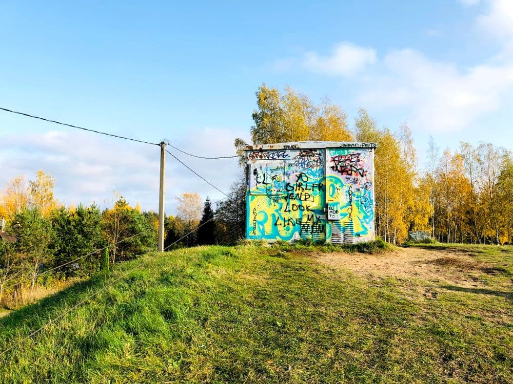 Rokantiškių regykla #4