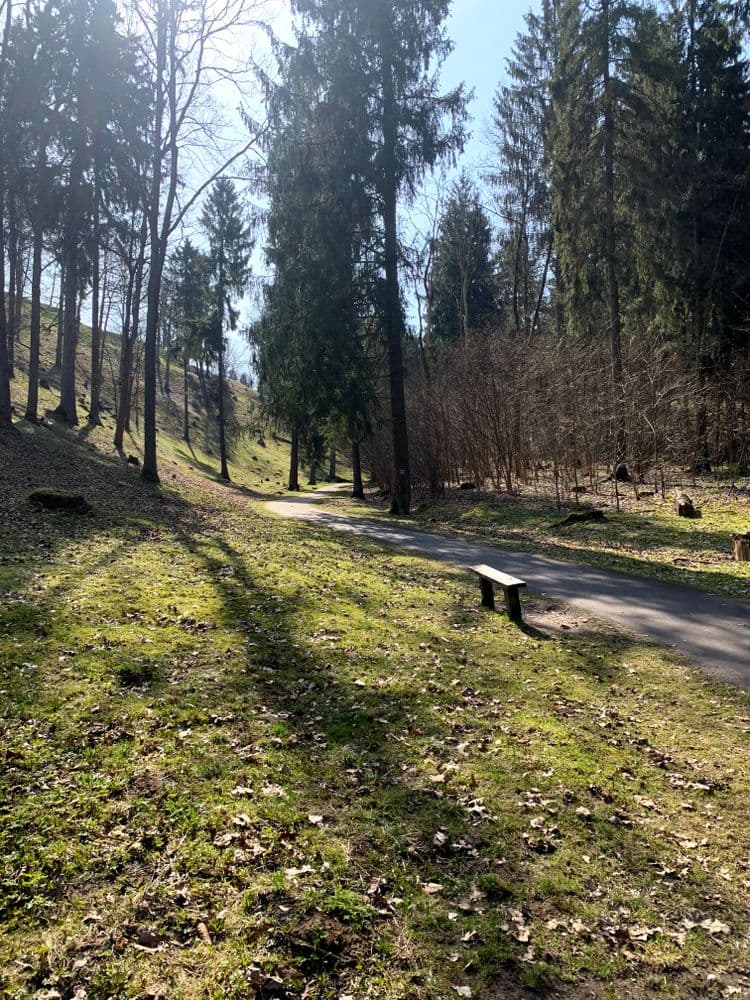 Strielčiukų žygtakis #3