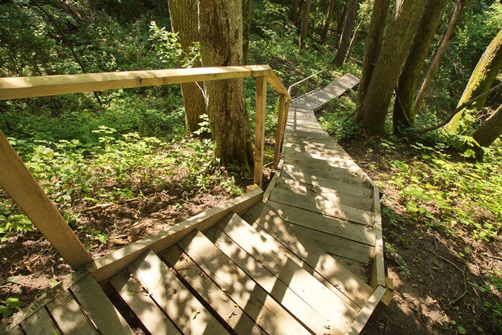 Akmenos pažintinis takas #2