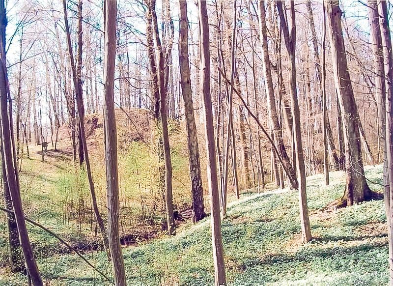 Dovilų piliakalnis #2