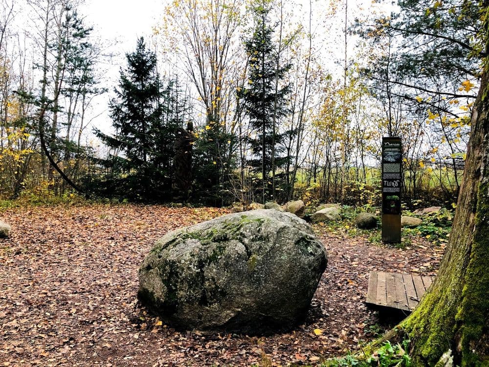 Dūkštų ąžuolyno pažintinis takas #5