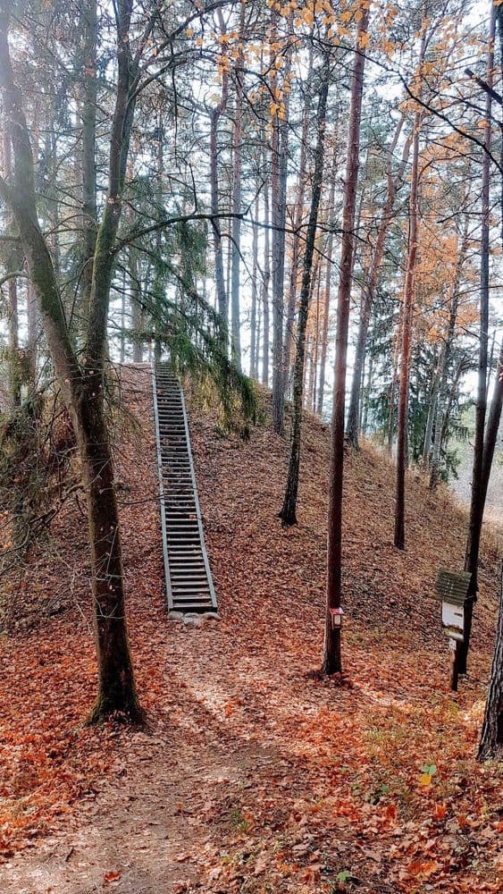 Šilėnų pažintinis takas #3