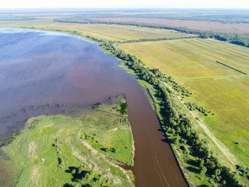 Krokų lankos ežeras #2