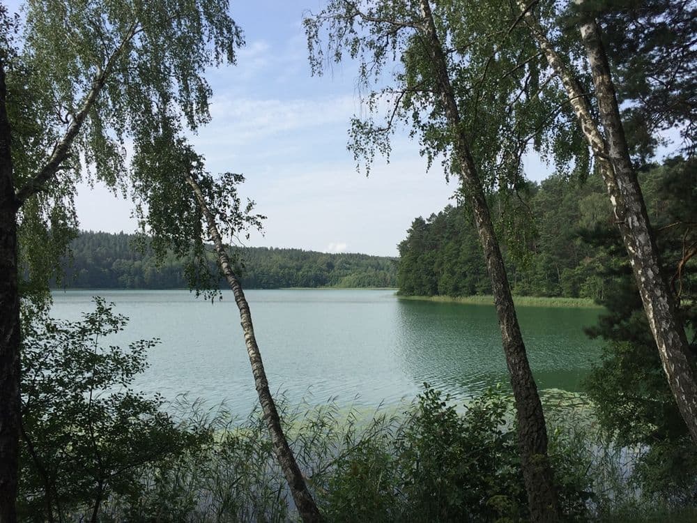 Žaliasis pažintinis pėsčiųjų takas