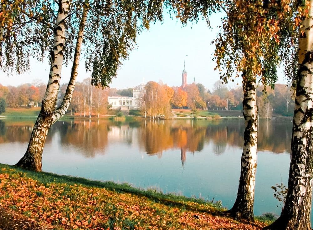 Druskonio ežero pakrantė #2