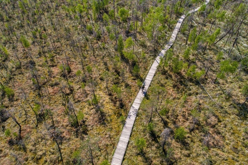 Dubravos rezervatinė apyrubė #4