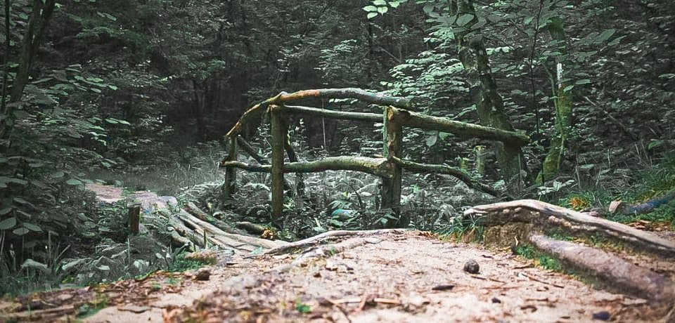 Kleboniškio miško parkas #2