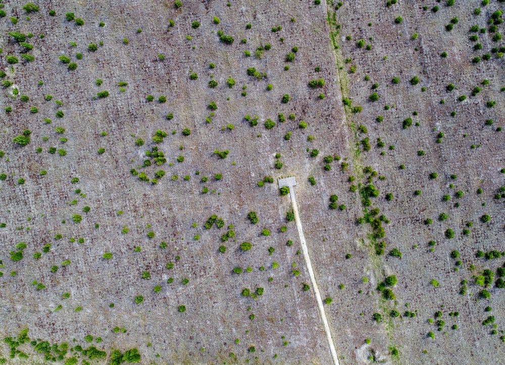 Meškos galvos kopa #2