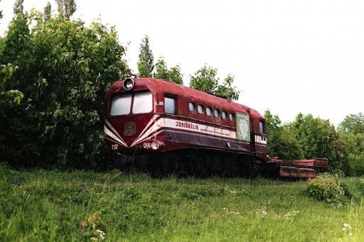 Joniškėlio siaurukas #3