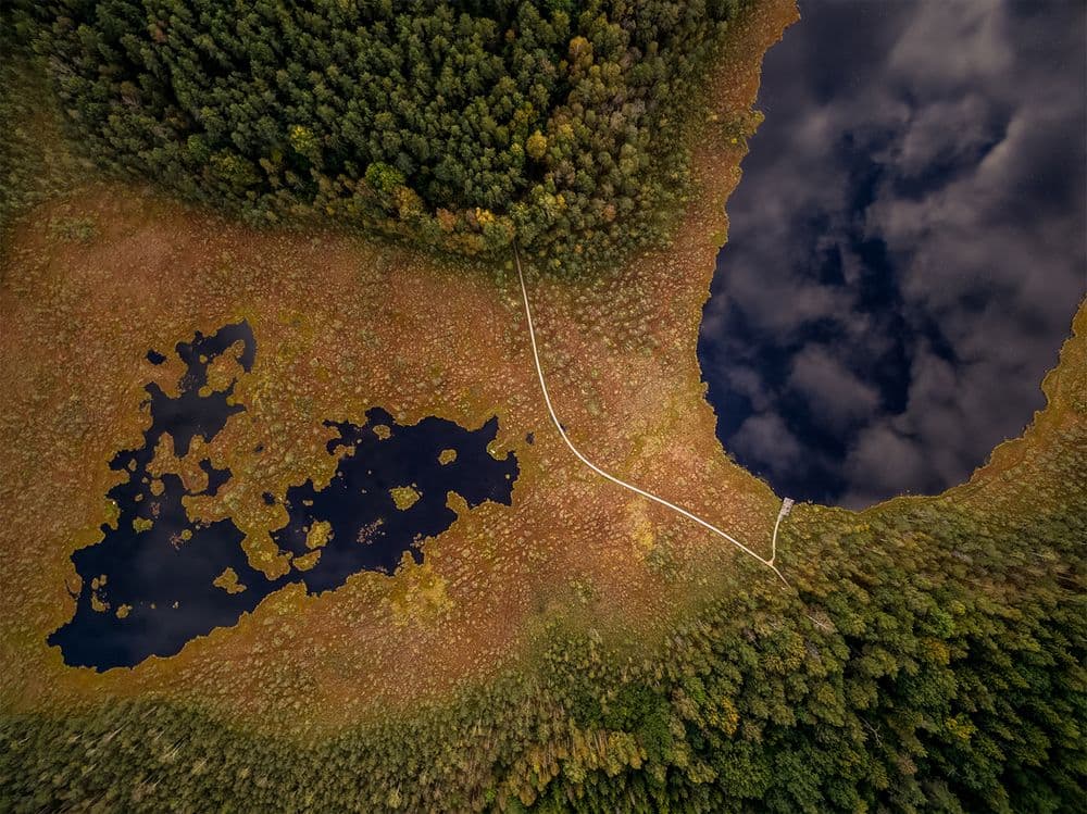 Varnikų pažintinis takas