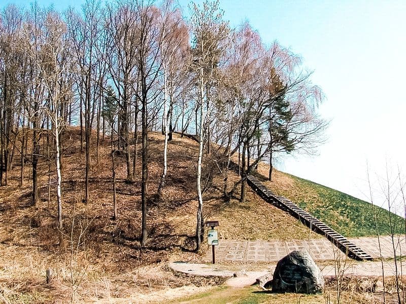 Vieškūnų piliakalnis #3