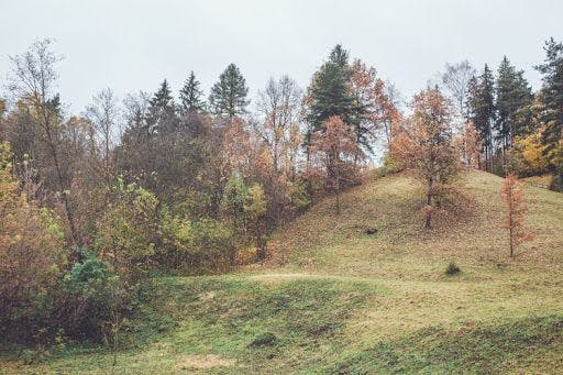 Kučkuriškių piliakalnis (Barsukynės kalnas) #2