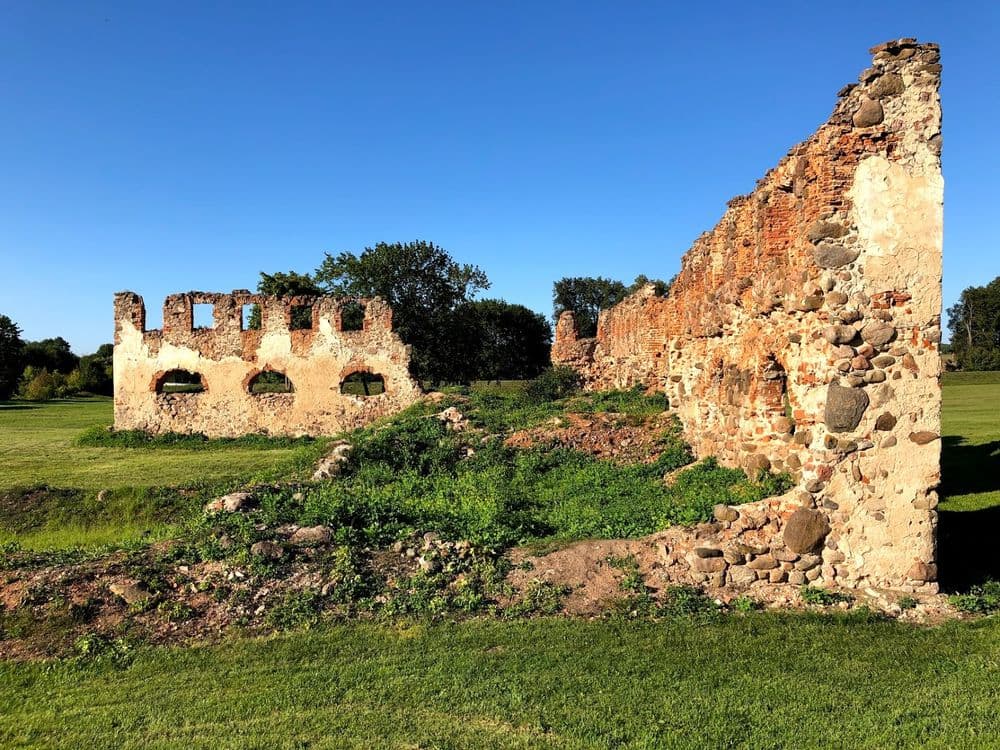 Merkinės dvaras (Paulavos respublika) #5