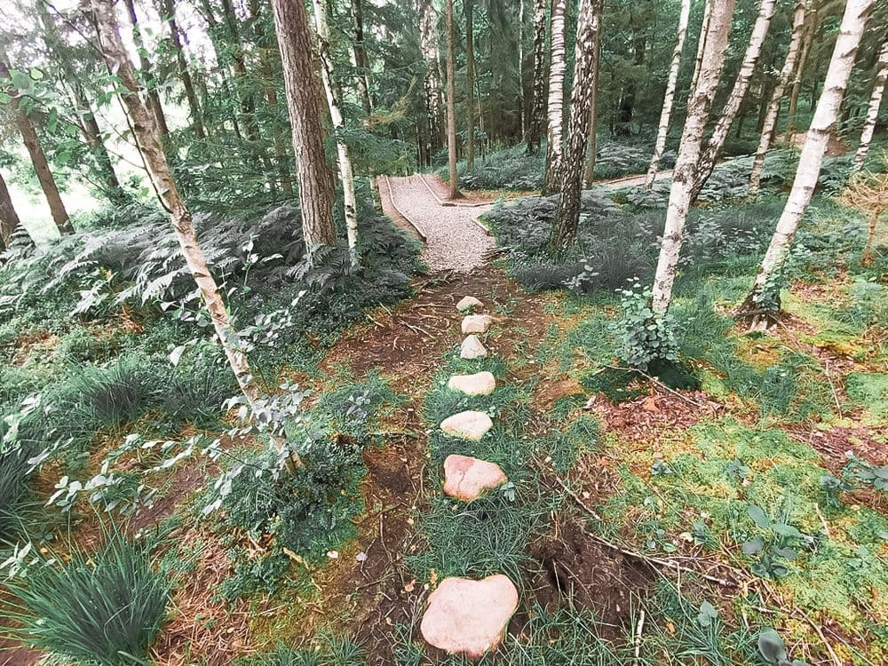 Takas aplink Ilgio ežerą #4