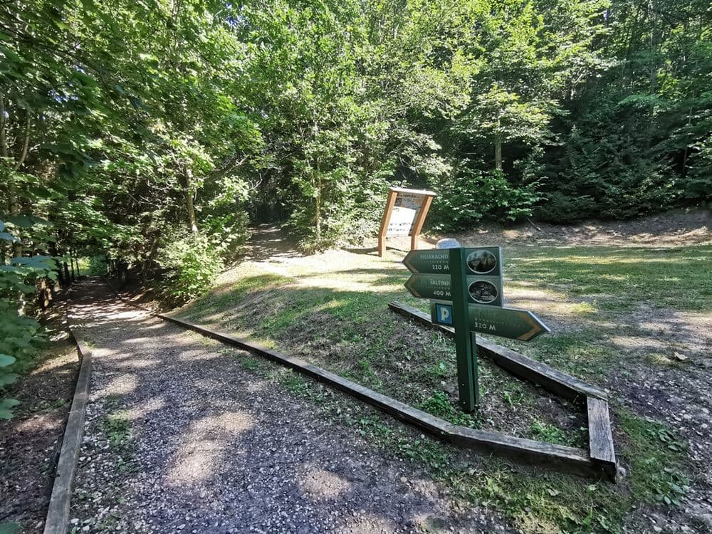 Lopaičių pažintinis takas #2