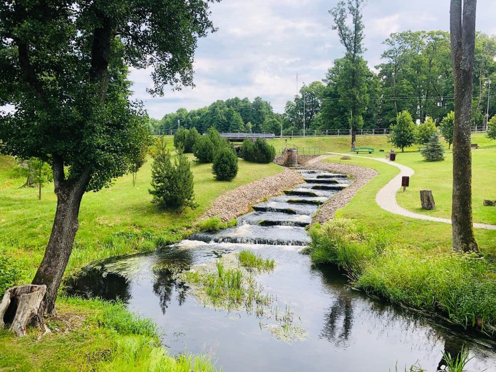 Viešvilės žuvitakis #3