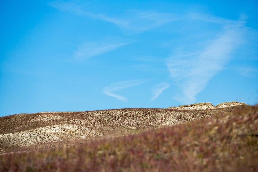 Naglių gamtinio rezervato pažintinis takas #2