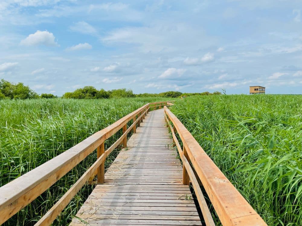 Žuvinto ežero gamtos takas