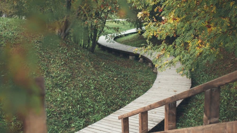 Bijeikių (Rubikių) apžvalgos bokštas #4