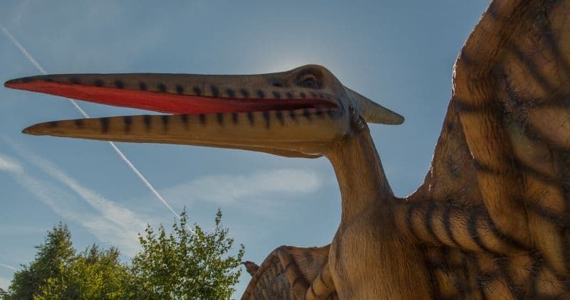 Dino pramogų parkas #2