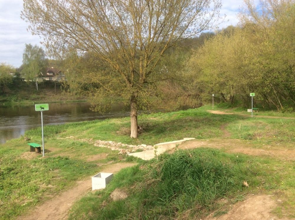 Vingio parko augintinių paplūdimys