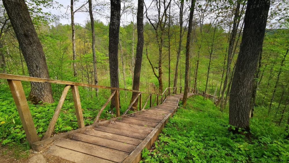 Jurkiškio upelio pažintinis takas #4